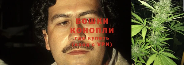 ГАЛЛЮЦИНОГЕННЫЕ ГРИБЫ Баксан