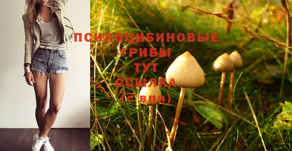 прущие грибы Балахна