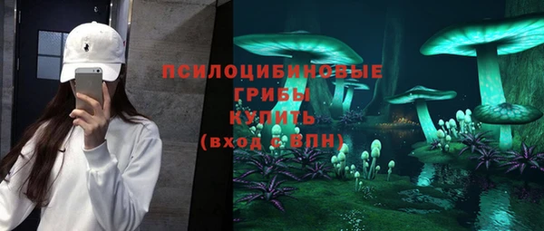 ГАЛЛЮЦИНОГЕННЫЕ ГРИБЫ Баксан