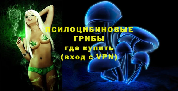 прущие грибы Балахна