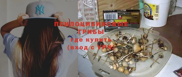 ГАЛЛЮЦИНОГЕННЫЕ ГРИБЫ Баксан